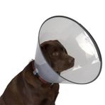 Dermo-Vet 10 cm Köpek Elizabet Yakalığı