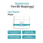 Dermotik Saç Bakım Maskesi Yıpranmış Ve Boyalı Saçlar İçin Onarıcı Besleyici Shea Butter + Tropical Oil 250Ml