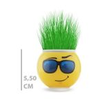 Dervis'İN Çim Adam Saksı Emoji Figürlü 1 Adet - Altın
