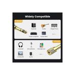 Derwell 6.35mm Mikrofon Amplifikatör Kulaklık İçin 3.5mm Jack Stereo AUX Ses Dönüştürücü Gitar Enstrüman Çok Renkli, Derwell63mm1x