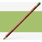 Derwent : Drawing : Renkli Kuru Boya Kalemi : Moss Green