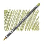 Derwent Graphitint 10 Meadow Kuru Boya Kalemi