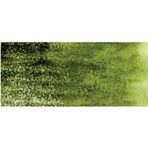 Derwent Graphitint Suda Çözünebilen 11 Ivy Renkli Çizim Kalemi