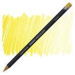 Derwent Procolour 05 Gold Kuru Boya Kalemi