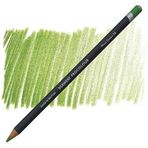 Derwent Procolour 50 Moss Green Kuru Boya Kalemi
