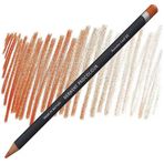 Derwent Procolour 62 Autumm Leaf Kuru Boya Kalemi