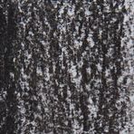 Derwent Tinted Charcoal Renkli Kömür TC17 Driftwood Füzen Kalem