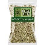 Derya Eren Böğürtlen Yaprağı 100g