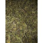 Derya Eren Yapışkan Andız Otu Manisa 100g