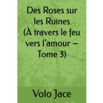 Des Roses sur les Ruines (À travers le feu vers l'amour – Tome 3)