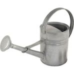 Desen Dekorasyon 3.5 lt Retro Vintage Metal Çiçek Bahçe Sulama Kabı Sulak