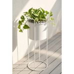 Desen Dekorasyon Ayaklı Metal Silindir Çiçek ve Saksı Standı 50 cm - Beyaz Küçük Boy