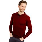 Desen Triko 21601 Bordo Basic Polo Yaka İnce Triko Erkek Kazak