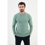 Desenli Açık Yeşil Slim Fit Bisiklet Yaka Erkek Triko Kazak