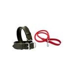 DESİNGSHOP Kırmızı Deri Örgü Köpek Gezdirme Kayışı 90cm Ve Siyah Deri Köpek Tasması 2,5x56 Cm 2li Set