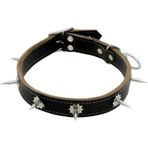 DESİNGSHOP Krom Çivili Deri Köpek Boyun Tasması 3 x 60 cm