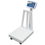 Desis B5 300 kg 60x70 cm Elektronik Tartım Kantarı