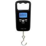 Desis KFS-T1 50KG / 10GR Askı Terazi