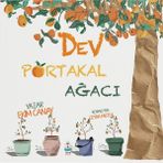 Dev Portakal Ağacı - Ekim Canay