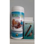 devavit 1 Kg Muhabbet Kuşu Yemi / Kanarya Yemi Maması Ve Yavru Yedirme Aparatı, Yavru Kuş Şırıngası