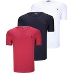 Dewberry Üçlü Set T8568 V Yaka Erkek T-Shirt Koyu Lacivert Kar Beyaz Açık Yeşil - XL - Lacivert - Beyaz - Bordo