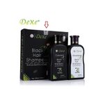 Dexe 2 Set Kampanyalı - Saç Renklendirici Şampuan 200 ML+200 ml Siyah Saç Bakım Beyazlık Giderici