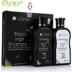 Dexe 3 Set Kampanyalı - Saç Renklendirici Şampuan 200 ML+200 ml Siyah Saç Bakım Beyazlık Giderici
