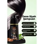 Dexe Siyah Şampuan 420ml | 4-5 Hafta Kalıcı Saç Boyası Şampuanı
