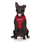 Dexil Limited DO NOT PET Kırmızı Renk Kodlu Çekilmez Ön ve Arka D Halka Dolgulu ve Su Geçirmez Yelek Köpek Koşumu, Köpeğinizin Başkalarını Önceden Uyandırarak Kazaları Önler (S)