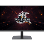 Dexim 24N11A 23.8 inç 100Hz 1ms Full HD IPS Monitör