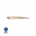 Dft 10 cm İğnesiz Renk: 019 3.5 gr 1/25 Şasi