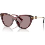Dg 4534 3474LA 53 Dolce & Gabbana Güneş Gözlüğü - Menekşe