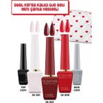 Dgel Korea Kalıcı Oje Seti - Mini Çanta Hediyeli - Çok Renkli