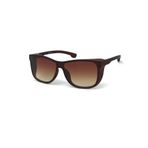 Di Caprio DC2163B Unisex Güneş Gözlüğü