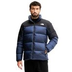 Diablo Down 2.0 Erkek Lacivert Outdoor Mont NF0A8993A1C1
