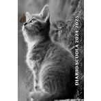 Diario Scuola 2024 2025 Gatto: Agenda scolastica giornaliera ragazza e ragazzo elementari medie | 2 Giorni per Pagina | Planner Scolastico da ... | A5 (13,97 x 21,59 cm) | 215 Pagine