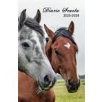 Diario Scuola 2025 2026: Agenda cavallo scolastica ragazza e ragazzo elementari medie | 2 Giorni per Pagina | Planner Scolastico da Settembre 2025 ad ... pratiche 13,97 x 21,59 cm | 215 Pagine