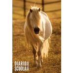 Diario Scuola 2025 2026: Cavallo - Agenda Scolastica Per Ragazza e Ragazzo, Elementari, Primaria, Media, Superiori | da Settembre 2025 ad Agosto 2026
