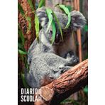 Diario Scuola 2025 2026: Koala - Agenda Scolastica Per Bambina e Bambino, Elementari, Media, Superiori | Formato Conveniente 6x9 Pollici