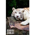 Diario Scuola 2025 2026: Tigre - Giornaliero Per Elementari, Primaria, Media, Superiori | Ragazzo, Ragazza, Adolescente | da Settembre 2025 ad Luglio 2026