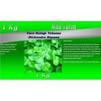 Dichondra Repens 1 KG Fare Kulağı Tohumu Fare Kulağı Çimi
