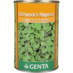 Dichondra Repens Fare Kulağı Kundura Çimi Tohumu 250 gr