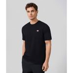 Dickies SS Mapleton DK0A4XDBBLK1-001 Siyah Erkek T-Shirt