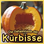 Die Geheimnisse der Kürbisse: Erstaunliche Fakten und realistische Bilder für Kinder: Ein Spannendes Naturbuch über Kürbisse, Herbsternte und Halloween für Kinder von 4–10 Jahren