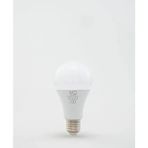 Die Grup 15W LED Ampül, Gün Işığı Renk, E27 Duy Uyumlu, Tasarruflu