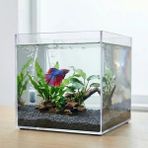 Die Grup 20X20X20 cm Kristal Nano Akvaryum - Karides ve Balık Için