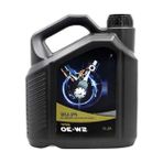 Die Grup 4 Litre Tam Sentetik Motor Yağı 5W/30 Dpf