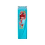 Die Grup Dökülme Karşıtı Saç Bakım Şampuanı - Argan Yağı ve Hibiskus 400ML