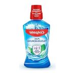 Die Grup Nane Ferahlığı Ağız Bakım Suyu, 500 ml Boyutunda Plak Temizleyici