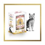 Die Grup Royal Canin Adult Yetişkin British Shorthair Kedi Maması 2 kg + Royal Canin Yetişkin British Shorhair Yaş Maması 2 Adet (Original)